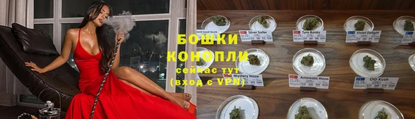 дмт Дмитровск