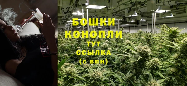 дмт Дмитровск