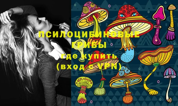 дмт Дмитровск