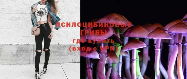 спайс Дмитров