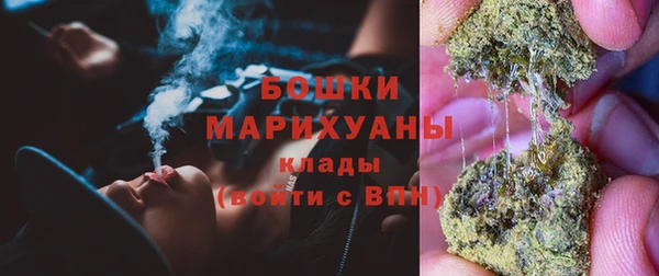 дмт Дмитровск
