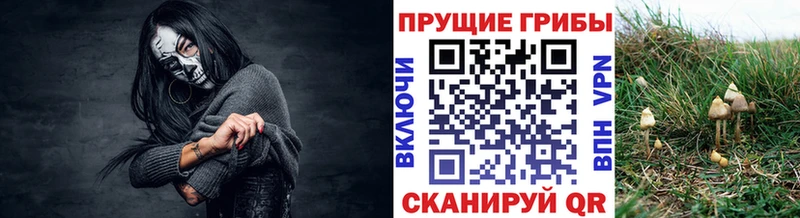 Псилоцибиновые грибы Magic Shrooms  Купить закладки  Хвалынск 