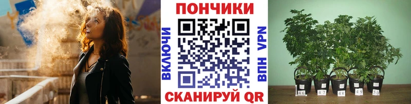 Купить  Хвалынск  Конопля White Widow 